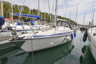 1982 Maxi 84