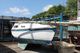 Vivacity 650