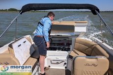 2020 Sea Ray 250 SLX