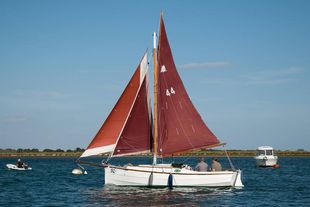 Cape Cutter 19