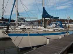 1987 Wauquiez Centurion 38