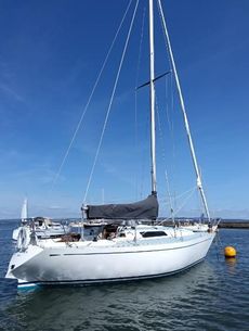 Colvic UFO 31