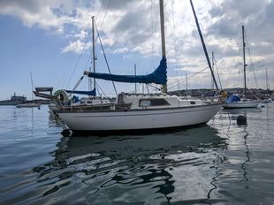Nicholson 26