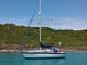 1979 Dolphin 31