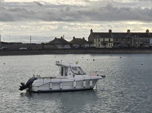 Quicksilver Pilothouse 640