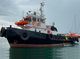 1982 Tug - Single Screw For Sale