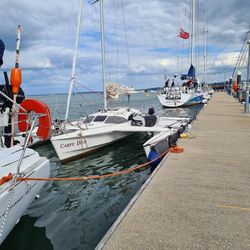 Dragonfly 800 SWING Wing