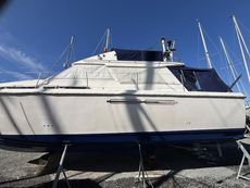 1983 Princess 38 Flybridge