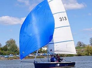 Topper Cruz Classic Sail number 313