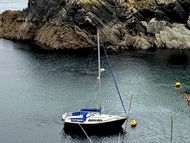 Cobra 850 - 2024 Survey, Ready to Sail