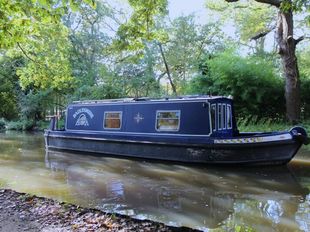 2006 Sea Otter 31' Narrowboat