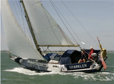 Rustler 31