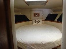 Bertram 37 Convertible