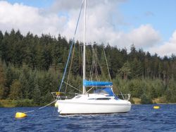 Hunter Ranger 265