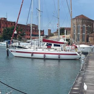 V-Cat 38