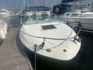 Sea Ray 215 Express Cruiser