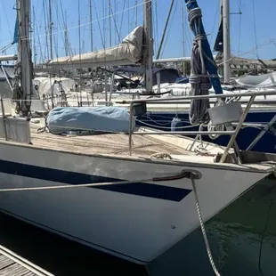 Oyster 39