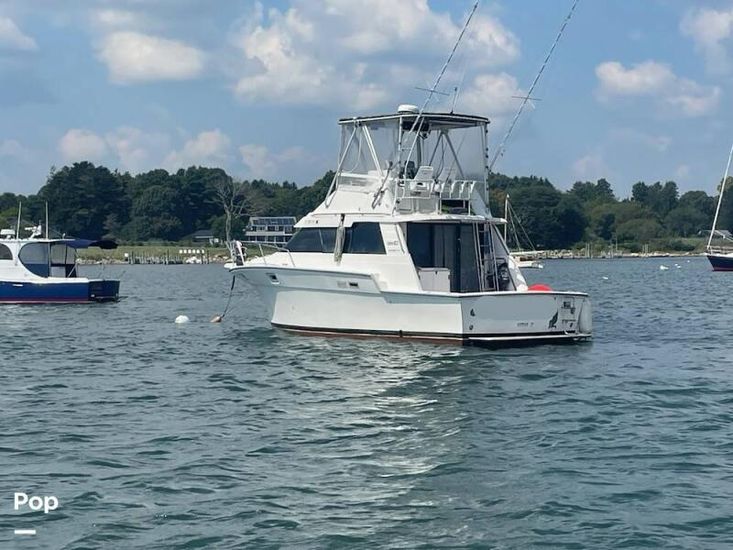 1989 Luhrs 342 tournament