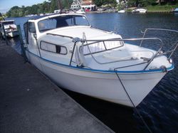 GREAT VALUE ALBIN 25 DL