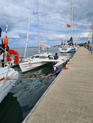 Dragonfly 800 SWING Wing