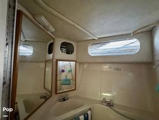 1992 Sea Ray 350 Express Bridge