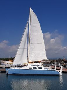 Apolonia 32 ft Catamaran Richard Woods