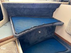 1992 Sea Ray 350 Express Bridge