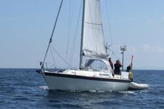 1987 Westerly Falcon 34