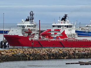 Platform-Supply-Diesel Electric Economical PSV