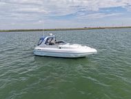 Sunline 31
