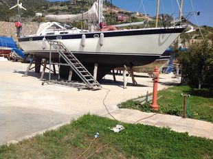 Trident Warrior 40