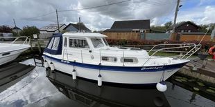 Hardy 27