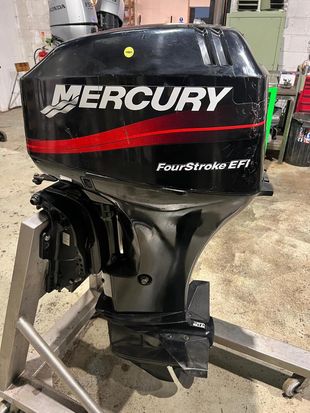 Mercury 30hp EFI 