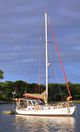 36ft Samson Seabird Sailing Yacht