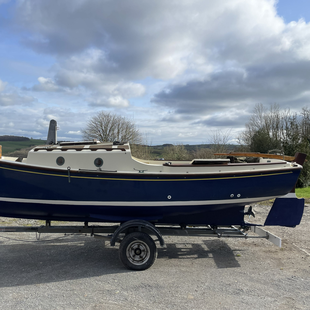 Norfolk Gypsy - Murmullo