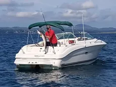 2001 Sea Ray 225 Weekender