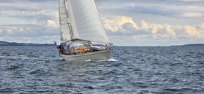 "Puffin" at sea