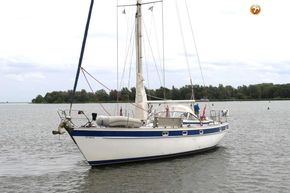 Picture 7