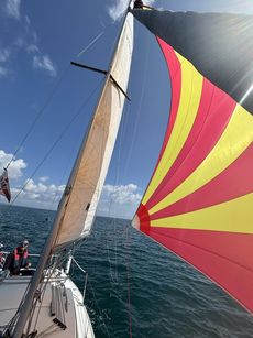 Hunter Horizon 23 2