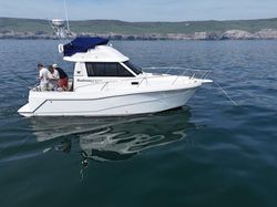 2010 Rodman 870