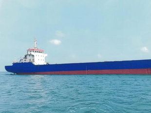 99.3m 250 TEU Container Ship