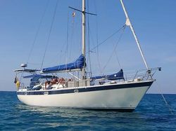 Trident Warrior 40