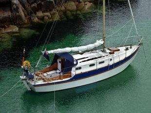 1978 Golden Hind 31