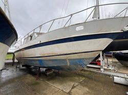De Groot  36 36