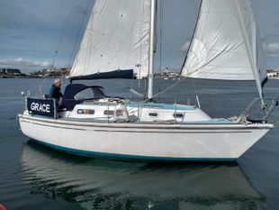 Westerly Griffon