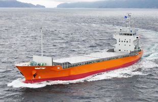 1650DWT Cargo /  Container Vessel