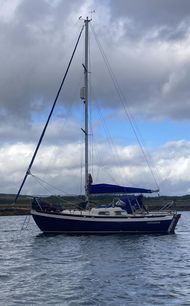 Vertue II 