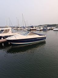 Bayliner 192