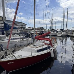 Achilles 24