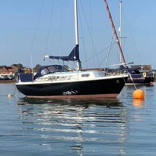 Colvic 26 sailing yacht boat